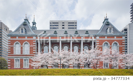 法務省と桜 法務省と桜 34777334