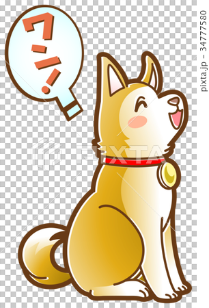 おすわりする犬 34777580