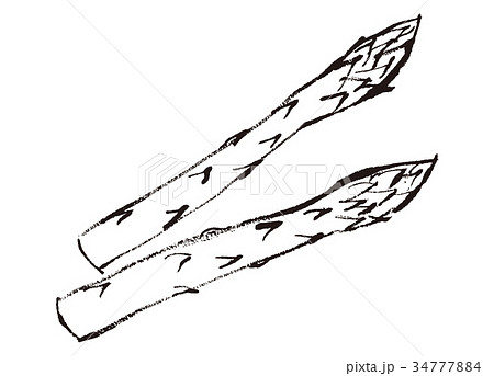 アスパラガス 水彩画のイラスト素材 34777884 Pixta