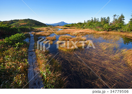 中門岳の池塘と草紅葉　秋の会津駒ケ岳から中門岳 34779506