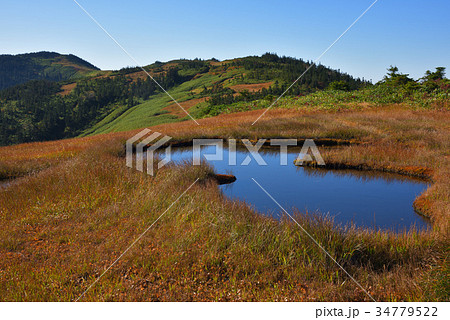 中門岳の池塘と草紅葉　秋の会津駒ケ岳から中門岳 34779522