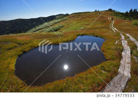 池塘と草紅葉　秋の会津駒ケ岳から中門岳への尾根 34779533