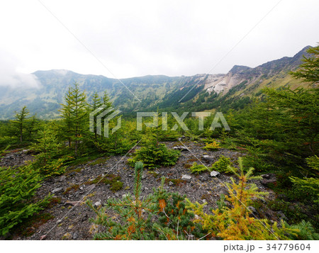浅間山　火山館から湯の平に向かう　湯の平高原　外輪山 34779604