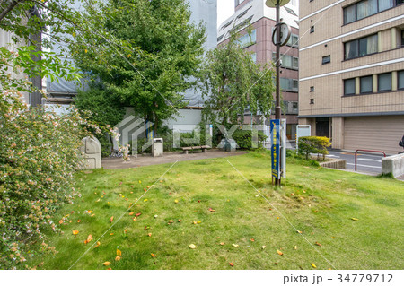 中央区立霊岸橋児童遊園 中央区立霊岸橋児童遊園 34779712