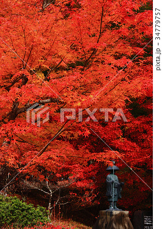 高ノ瀬峡紅葉 高ノ瀬峡紅葉 34779757
