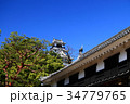高知城 34779765