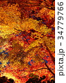 栗林公園 34779766