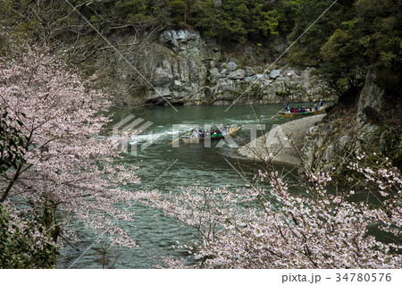 保津峡の桜 保津峡の桜 34780576