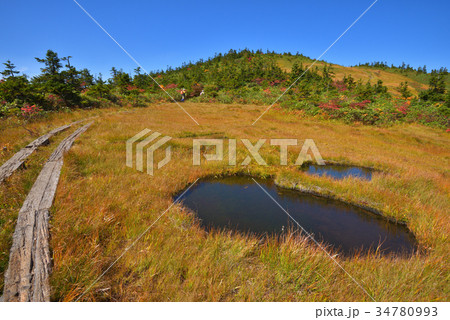 草紅葉の池塘と会津駒ケ岳への木道 駒の小屋直下草原から 草紅葉の池塘と会津駒ケ岳への木道 駒の小屋直下草原から 34780993