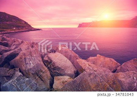 Fjord, rocky beach at pink rose sunset 34781043