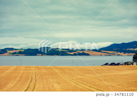 Mountain landscape with wheat field and fjord Mountain landscape with wheat field and fjord 34781110