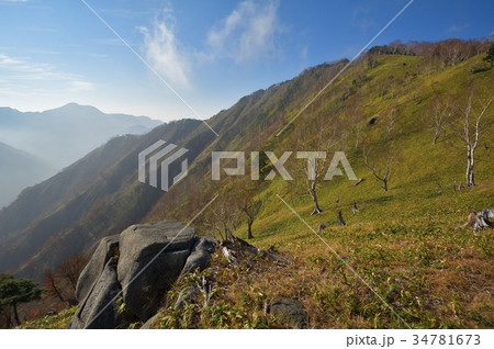 足尾 大平山の南斜面と遠く皇海山 足尾 大平山の南斜面と遠く皇海山 34781673