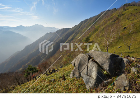 足尾 大平山の南斜面と遠く皇海山 足尾 大平山の南斜面と遠く皇海山 34781675
