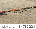 バット 34782224