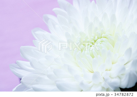 仏事イメージ 34782872