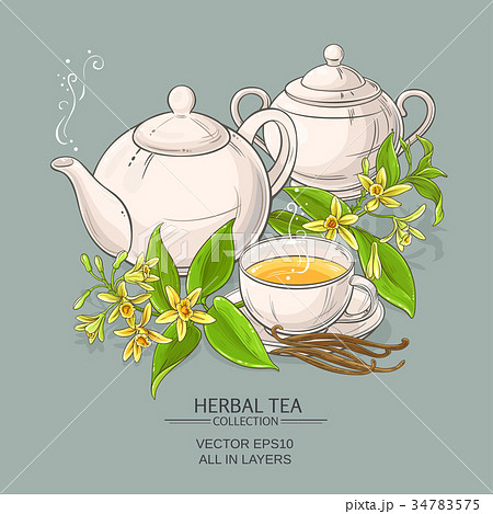 vanilla tea illustration 34783575