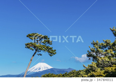 富士山 千本松原 富士山 千本松原 34784011