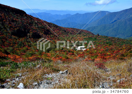 栃木県那須郡那須町　秋の茶臼岳　姥ケ平の紅葉　 34784760