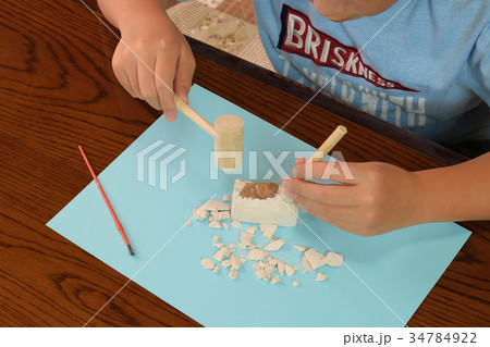 小学6年生理科　化石の模擬発掘体験 34784922