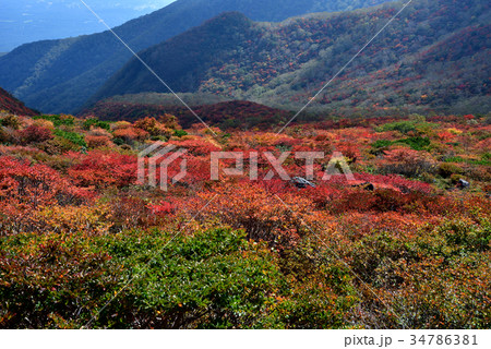 栃木県那須郡 秋の茶臼岳 紅葉 の写真素材