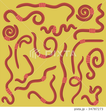 Animal Earth Red Worms 34787273