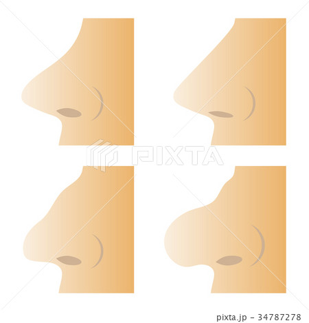 Set of Different Human Nose 34787278