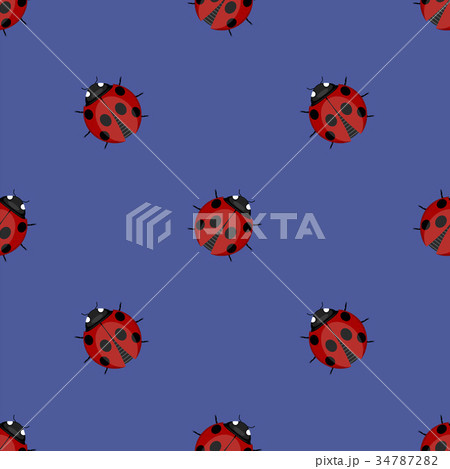 Ladybag Seamless Pattern. Ladybird Texture Ladybag Seamless Pattern. Ladybird Texture 34787282