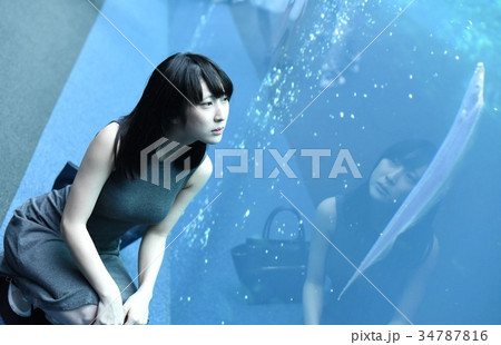 水族館で水槽を眺める女性 34787816