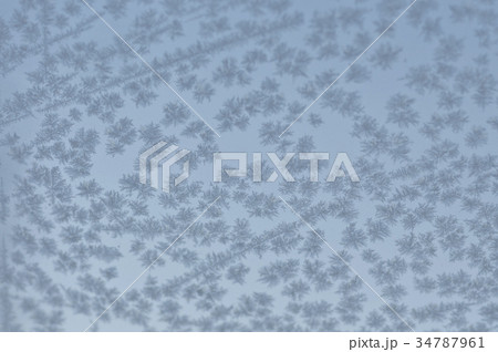 Icy flowers, frozen window, glass blur 34787961
