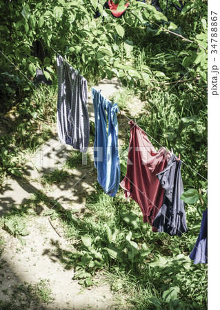 hanged clothes at garden in order to drying 34788867