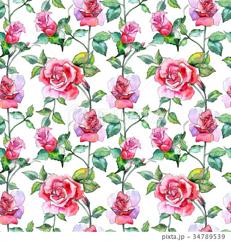 Wildflower rose flower pattern in a watercolor 34789539