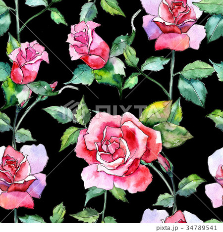 Wildflower rose flower pattern in a watercolor 34789541