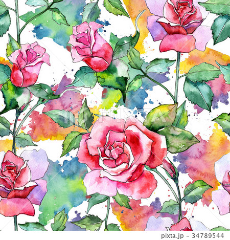 Wildflower rose flower pattern in a watercolor 34789544