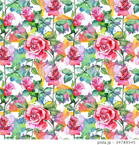 Wildflower rose flower pattern in a watercolor 34789545