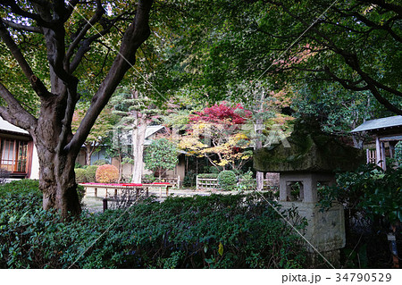 大磯城山公園 茶室 大磯城山公園 茶室 34790529