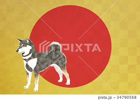 年賀状2018年 年賀状2018年 34790568