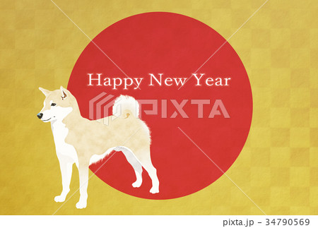 年賀状2018年 年賀状2018年 34790569