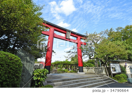 亀戸天神の鳥居　東京都江東区 34790664
