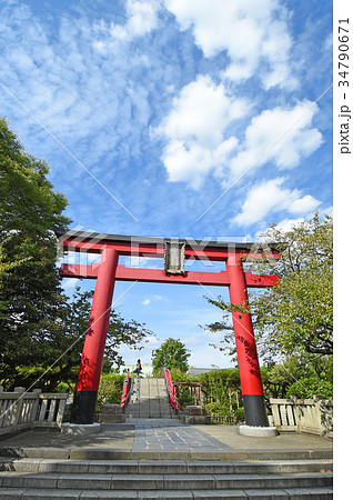 亀戸天神の鳥居　東京都江東区 34790671