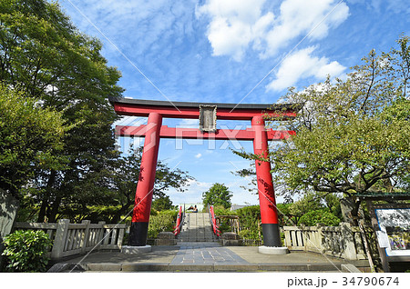亀戸天神の鳥居　東京都江東区 34790674