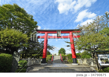 亀戸天神の鳥居　東京都江東区 34790675
