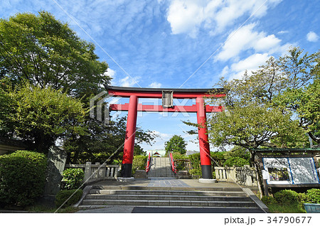 亀戸天神の鳥居　東京都江東区 34790677