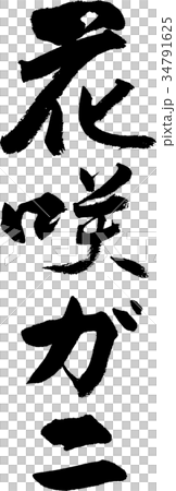 花咲ガニ 34791625