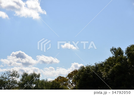 空 青空 雲 立木 空 青空 雲 立木 34792050