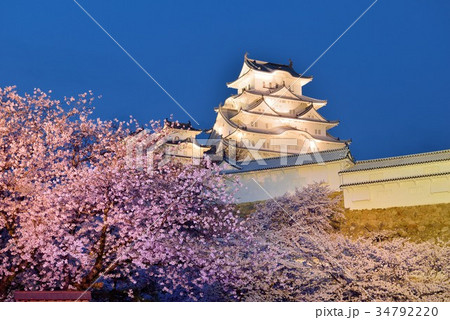 桜と姫路城 ライトアップの写真素材 [34792220] - PIXTA