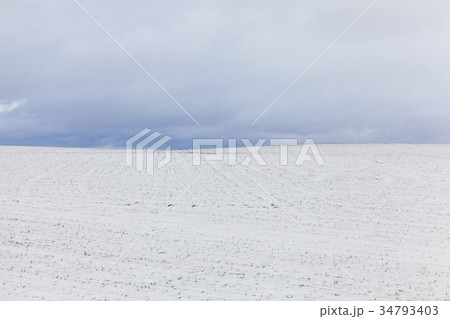 After snowfall After snowfall 34793403