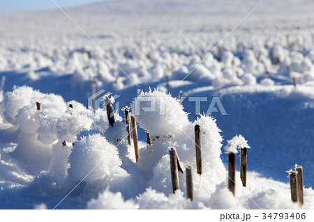 Snow drifts in winter Snow drifts in winter 34793406