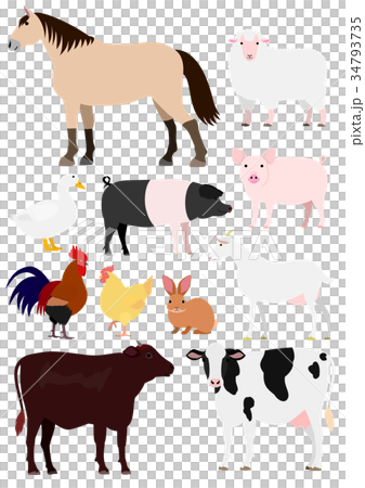 農場の動物たち 素材 農場の動物たち 素材 34793735