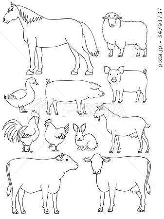 農場の動物たち 素材 線画のイラスト素材