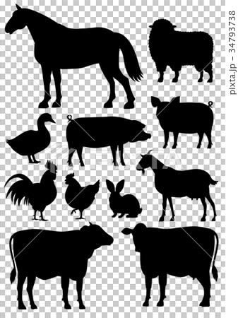 Farm animals Material Silhouette Farm animals Material Silhouette 34793738